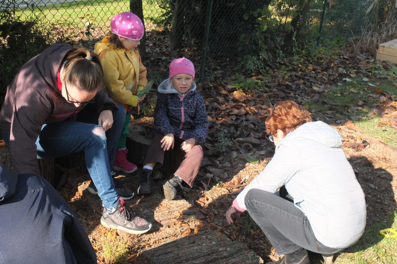 Sázíme bylinky na zahradě - 10