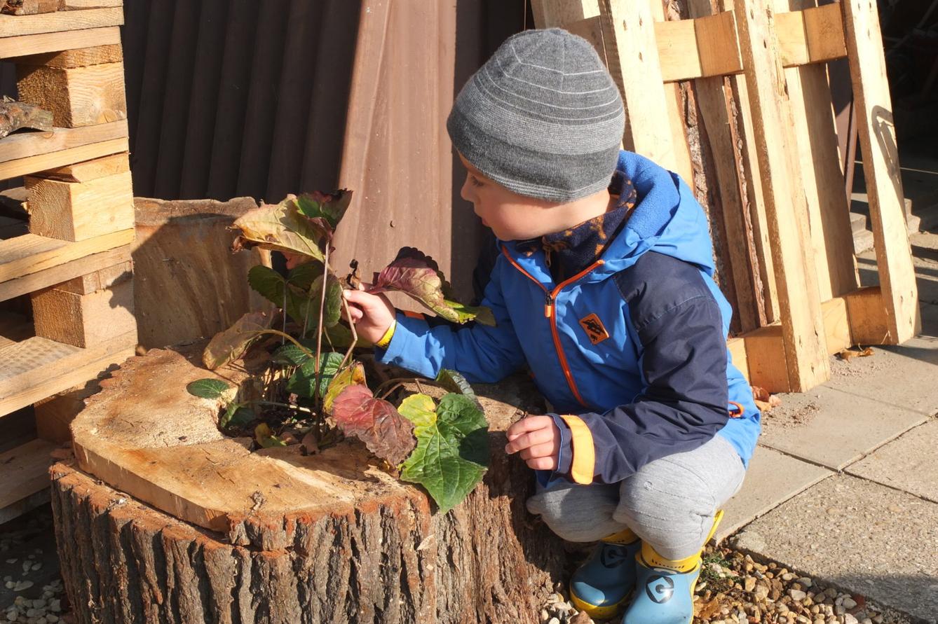 Sázíme bylinky na zahradě - 18