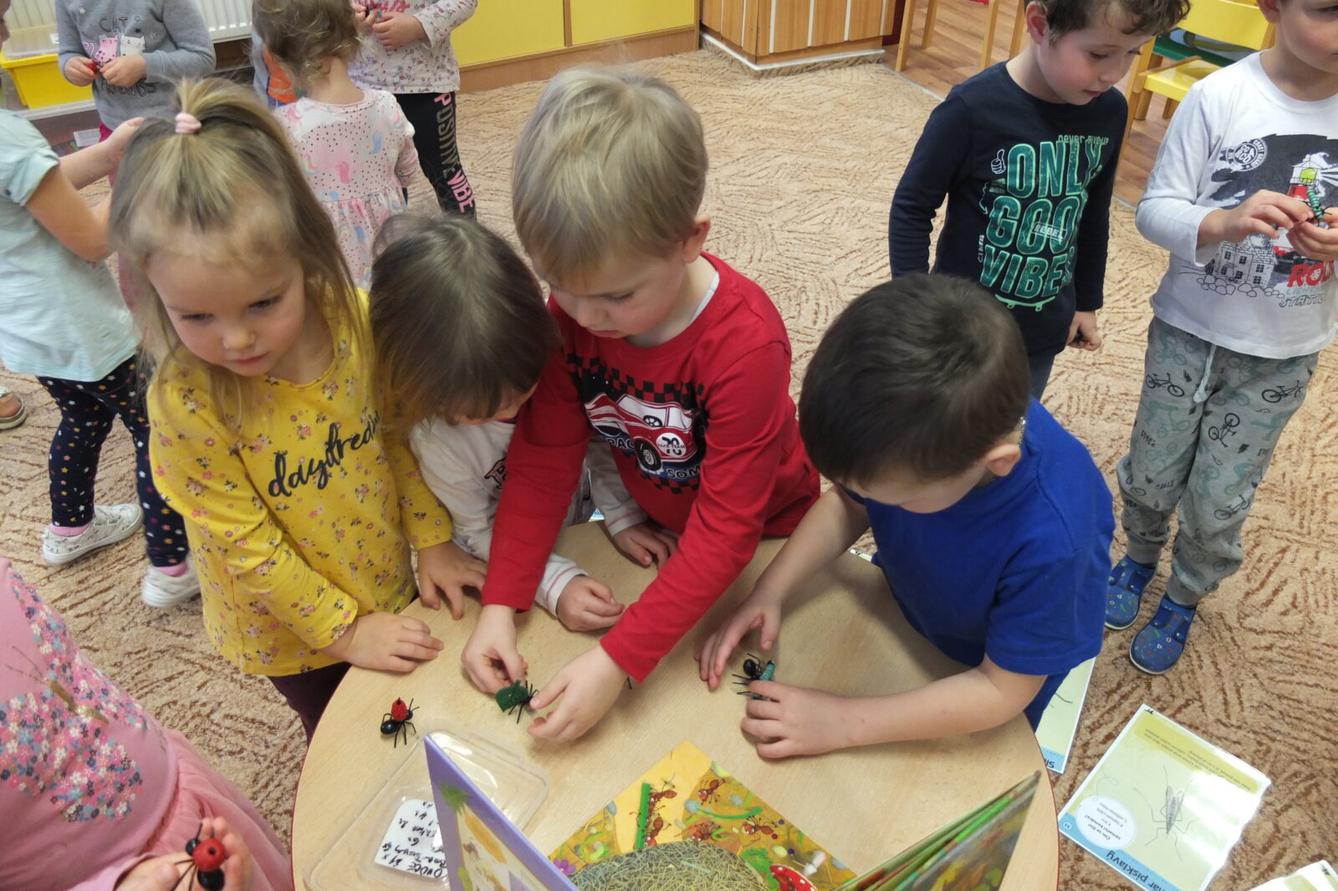 Program BROUČCI - 5