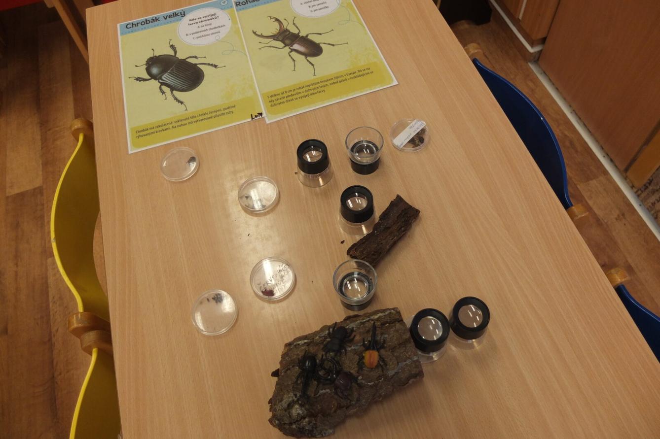 Program BROUČCI - 62