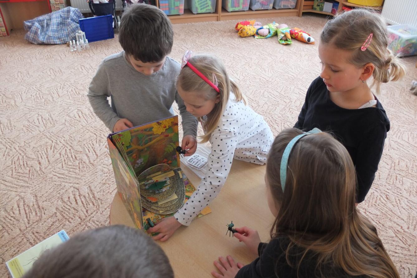 Program BROUČCI - 65