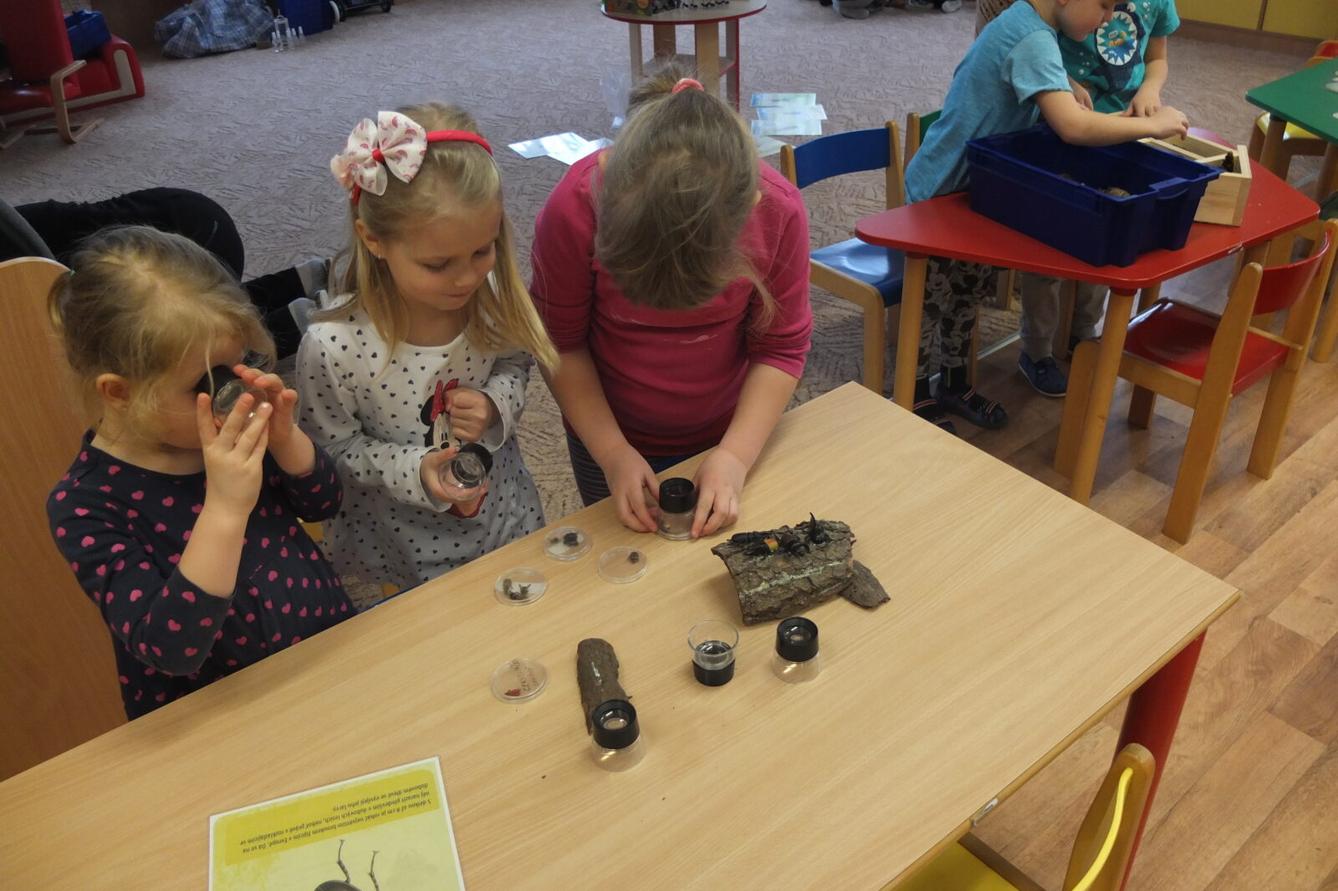 Program BROUČCI - 82