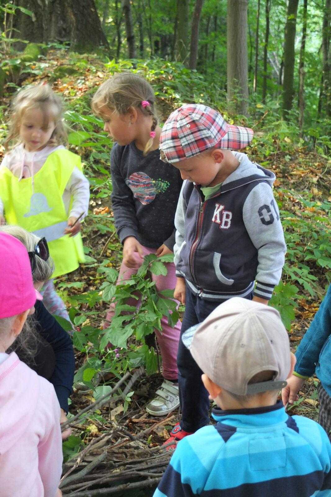 Kaštanka - HLEDÁNÍ ČLOVÍČKŮ - 19