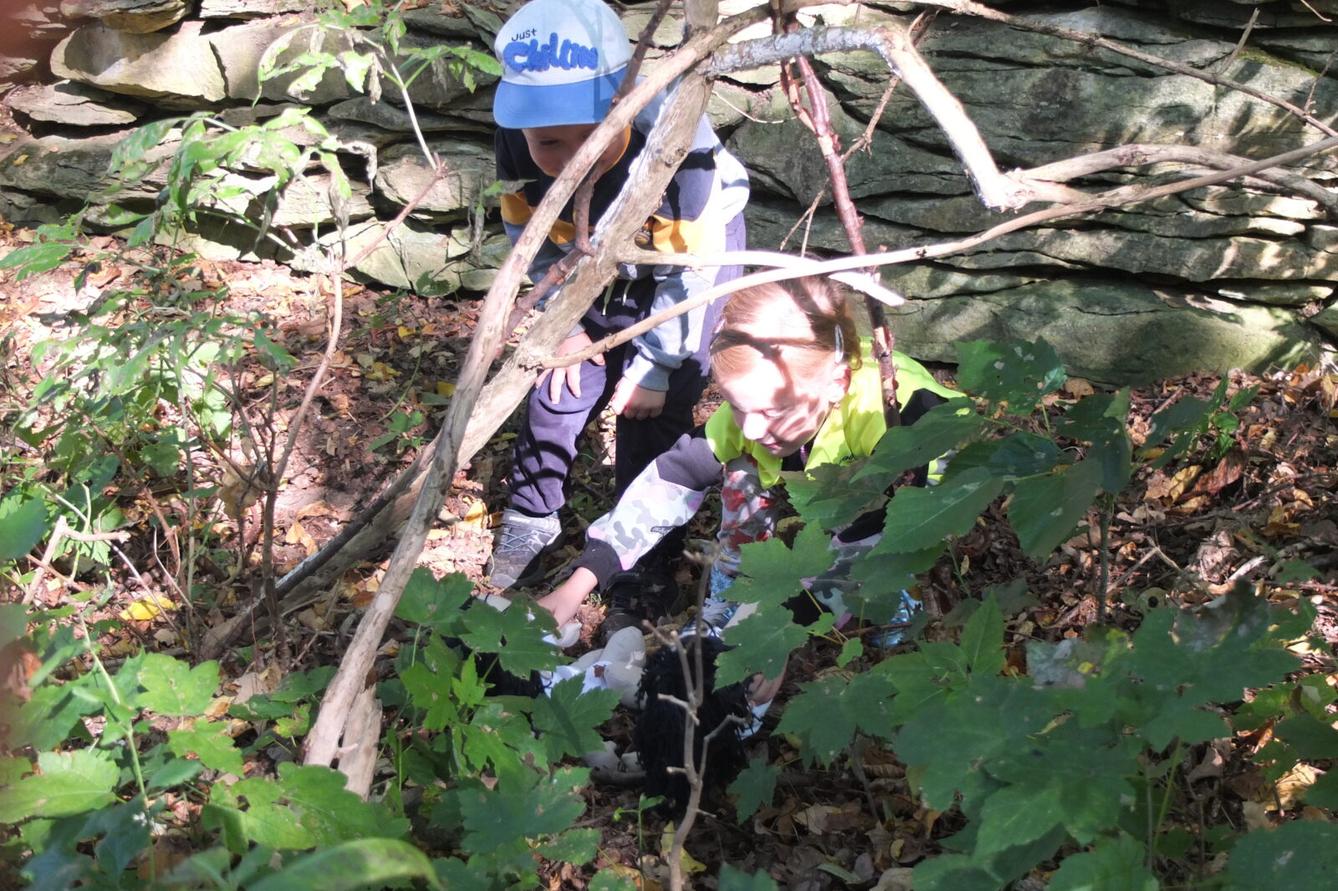 Kaštanka - HLEDÁNÍ ČLOVÍČKŮ - 31