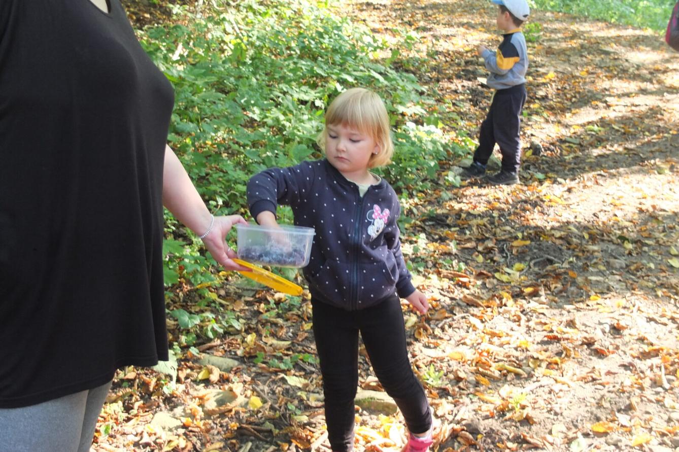 Kaštanka - HLEDÁNÍ ČLOVÍČKŮ - 49