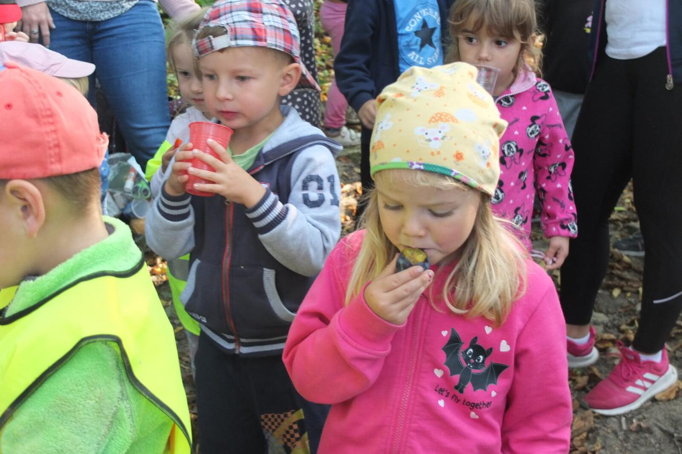 Kaštanka - HLEDÁNÍ ČLOVÍČKŮ - 51