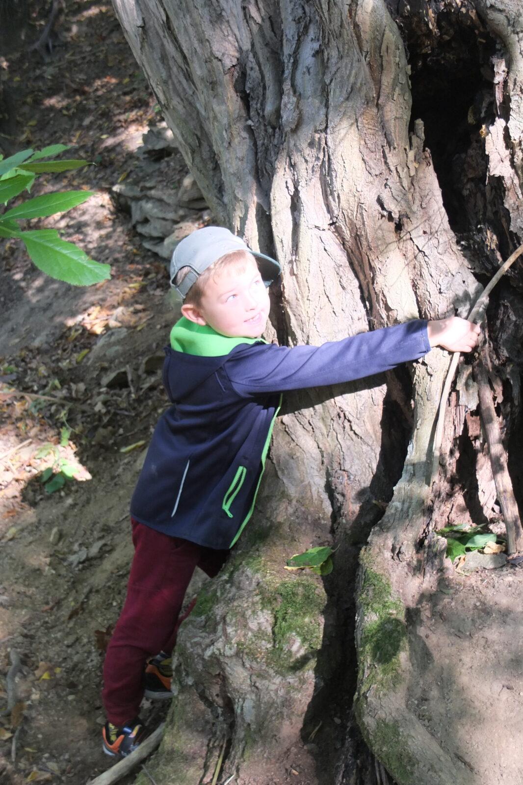 Kaštanka - HLEDÁNÍ ČLOVÍČKŮ - 65