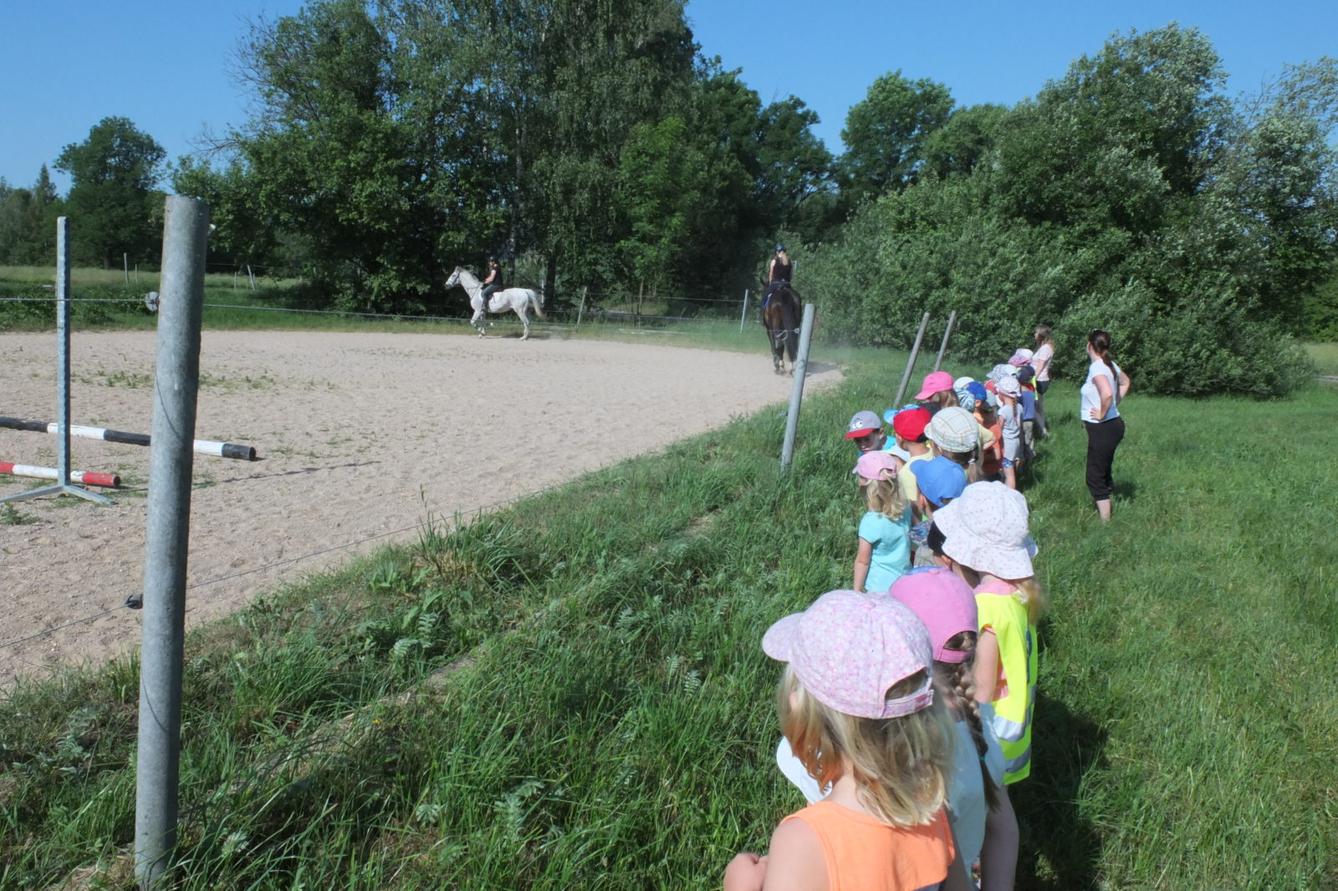 Návštěva u Vincenzů - 1