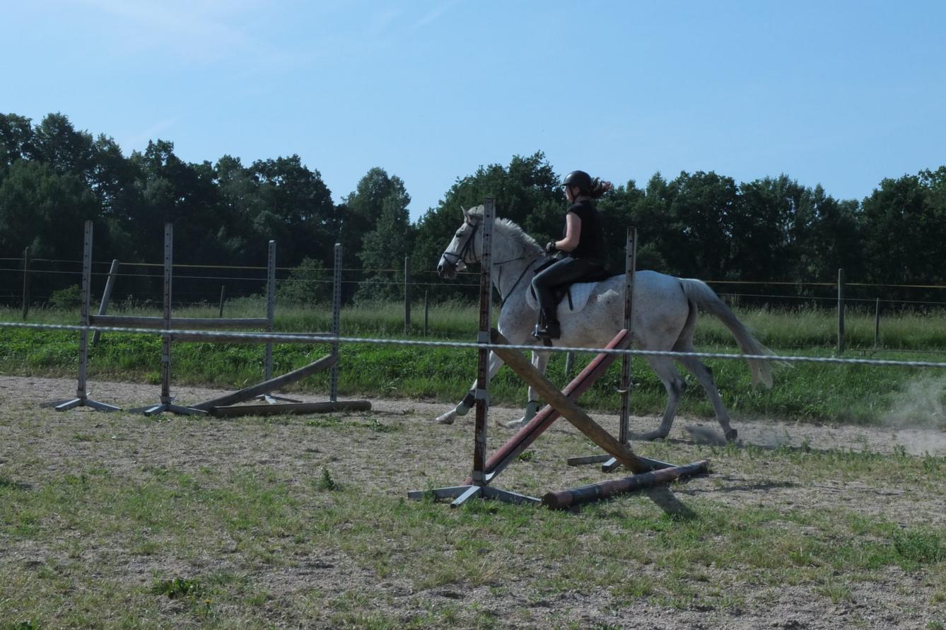 Návštěva u Vincenzů - 6