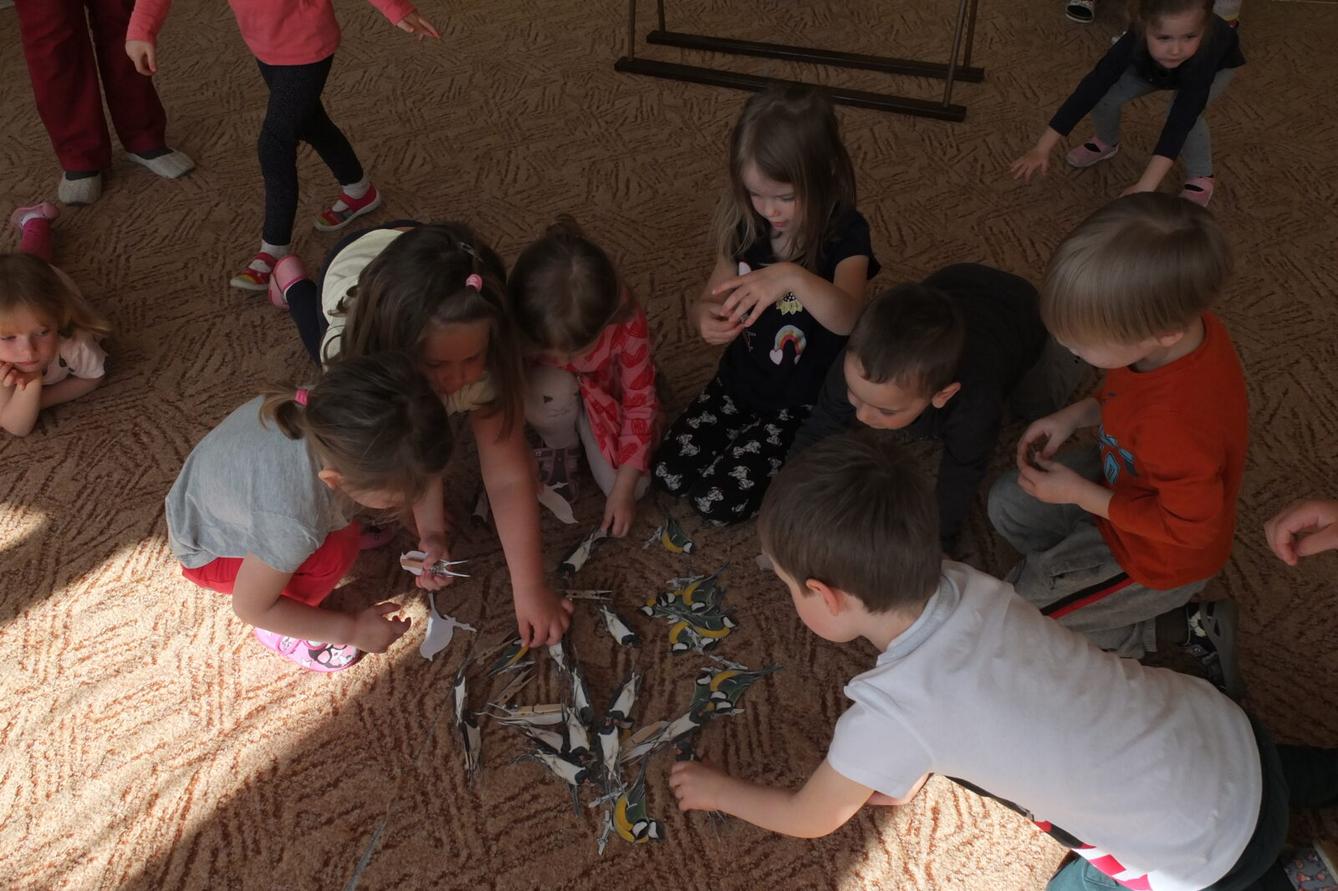 Program p. Adamcové - PTÁCI - 6