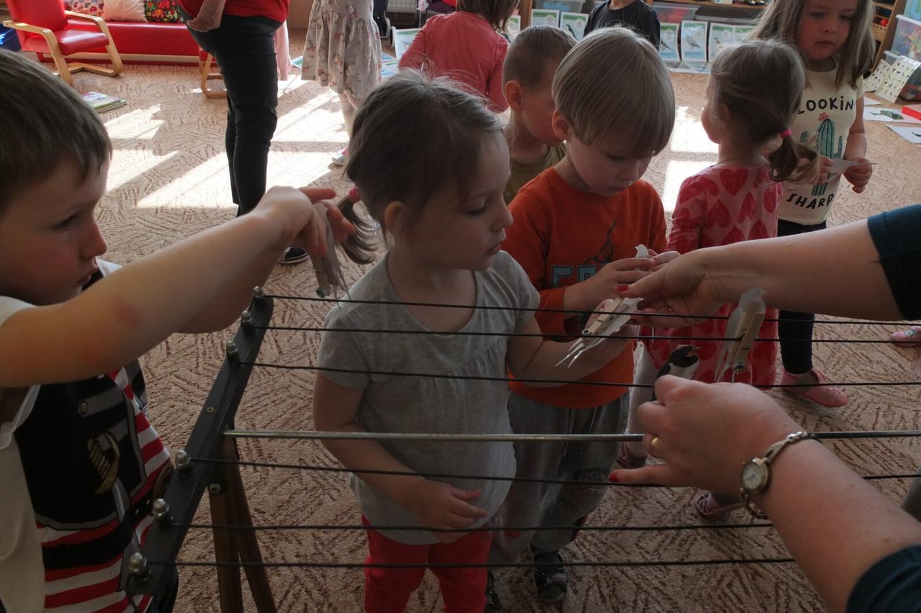 Program p. Adamcové - PTÁCI - 10