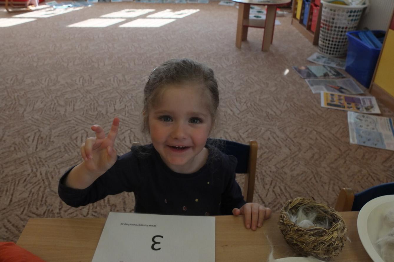 Program p. Adamcové - PTÁCI - 16