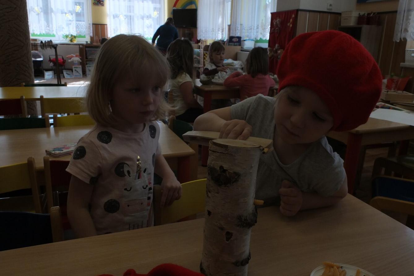 Program p. Adamcové - PTÁCI - 27