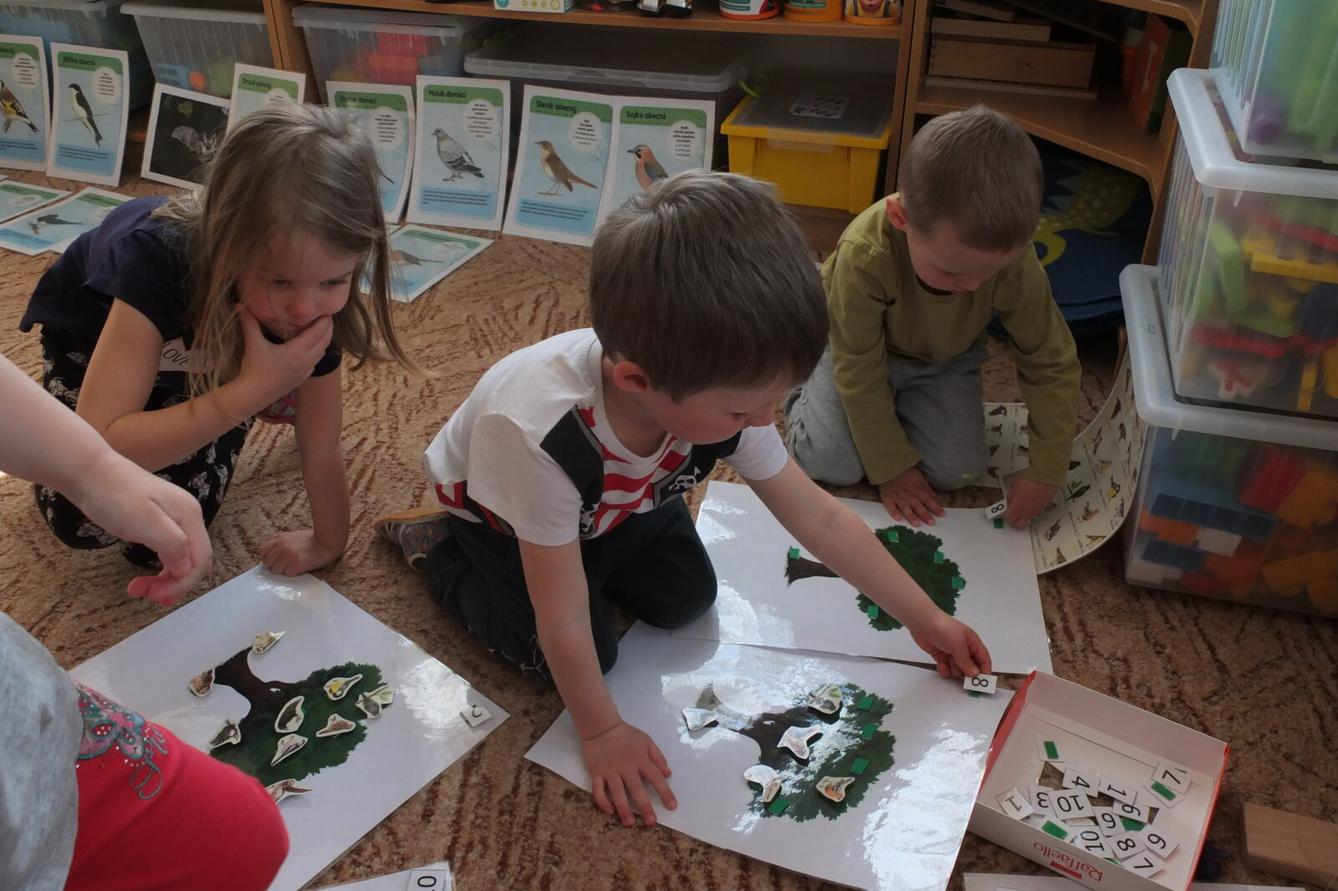 Program p. Adamcové - PTÁCI - 29