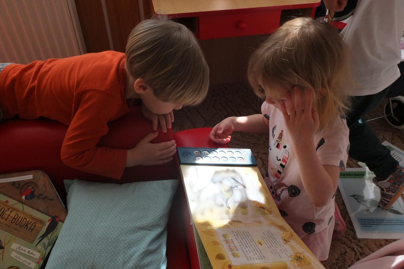 Program p. Adamcové - PTÁCI - 31