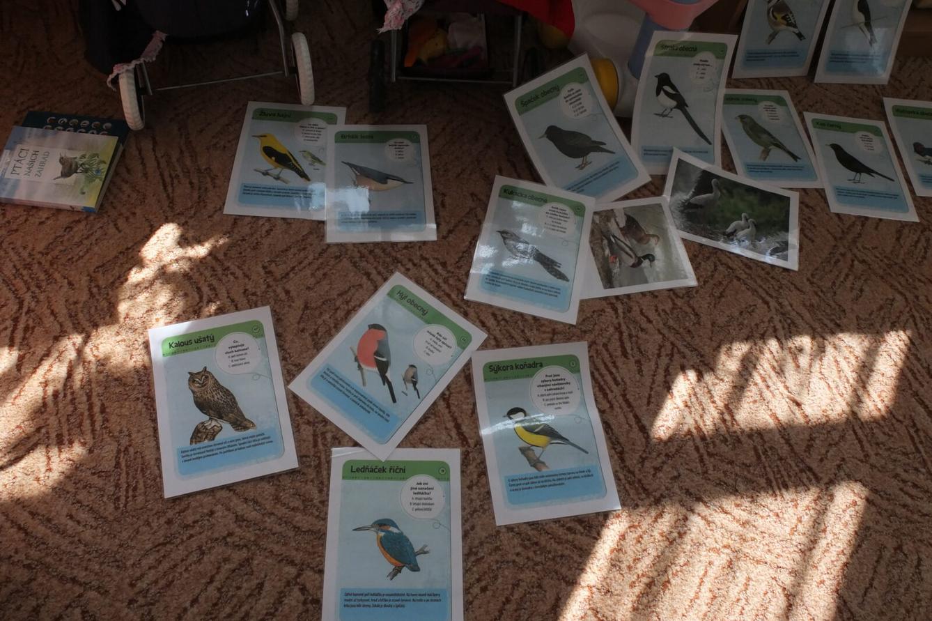 Program p. Adamcové - PTÁCI - 48