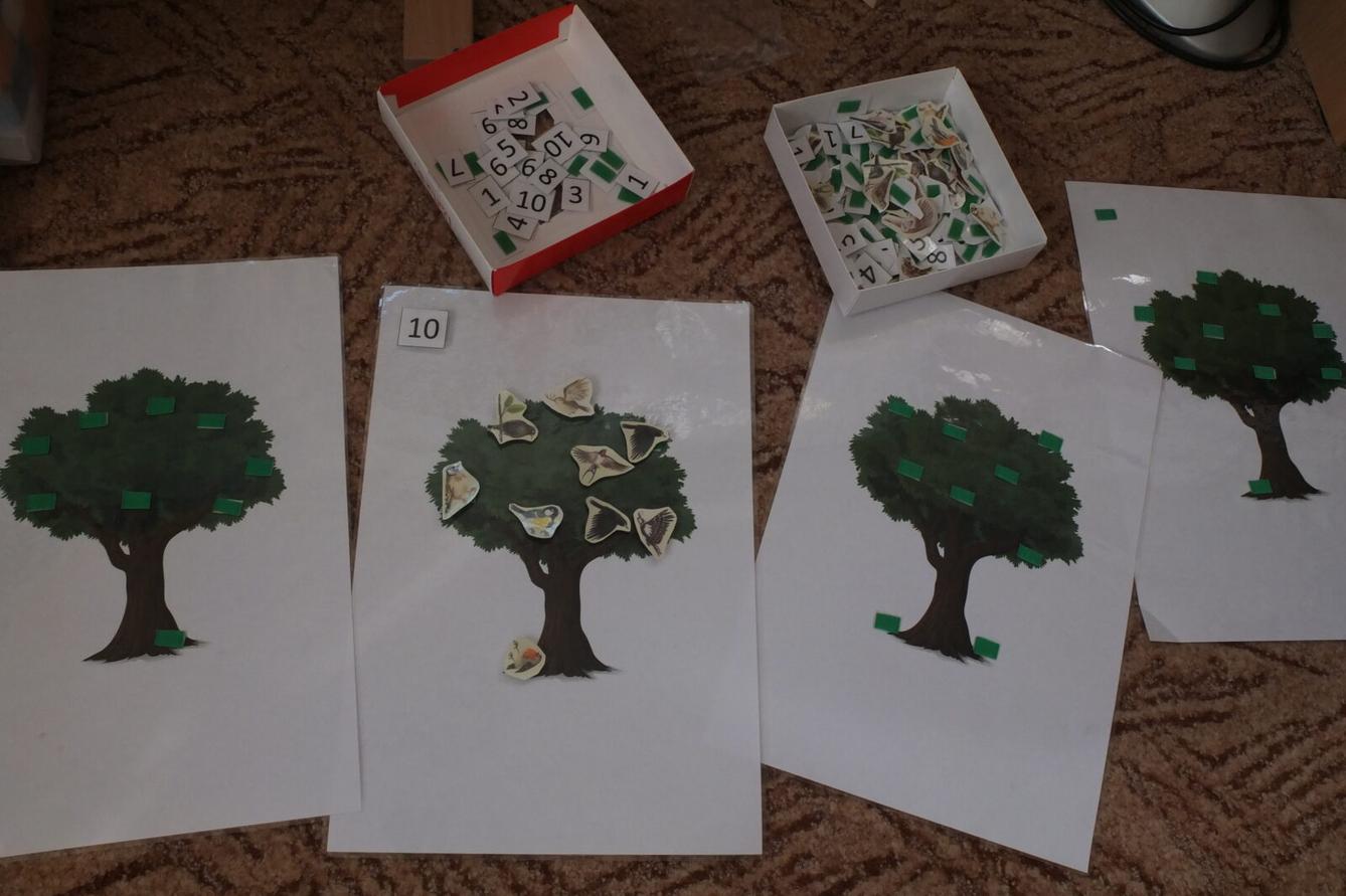 Program p. Adamcové - PTÁCI - 49