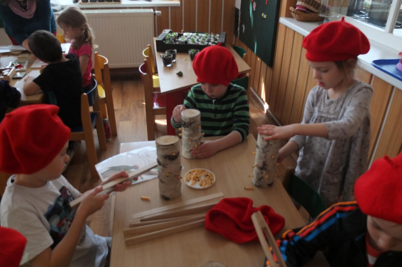 Program p. Adamcové - PTÁCI - 52