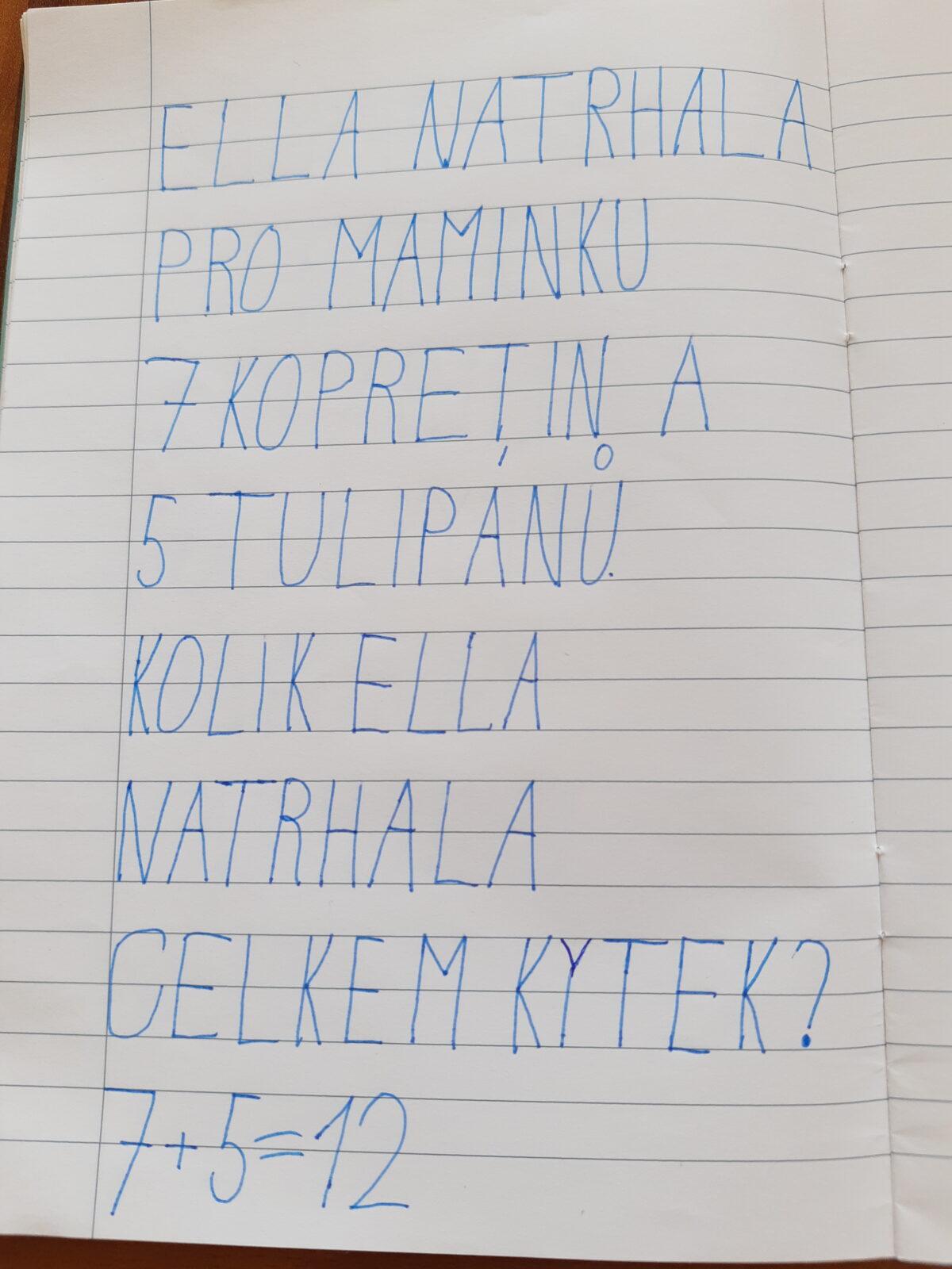 Domškoláctví u prvňáků - 9