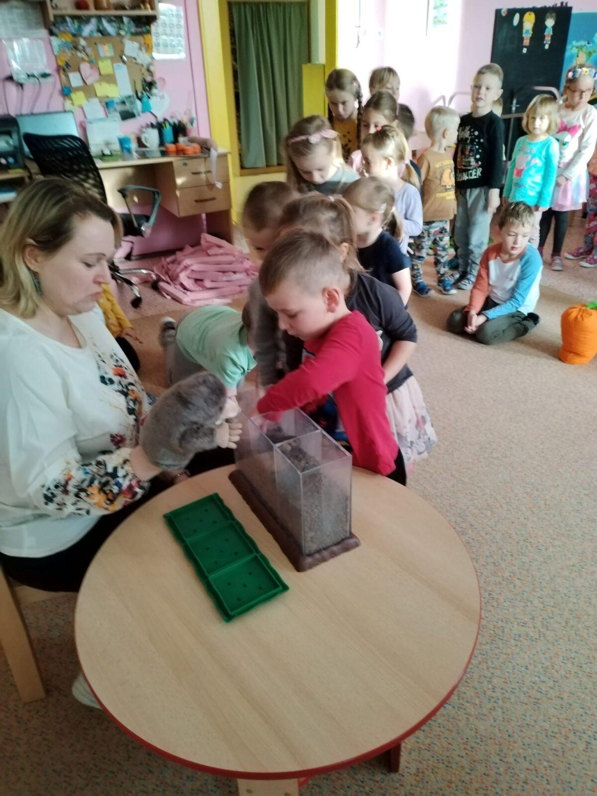 Vzdělávací program "Krteček" :-) - 12