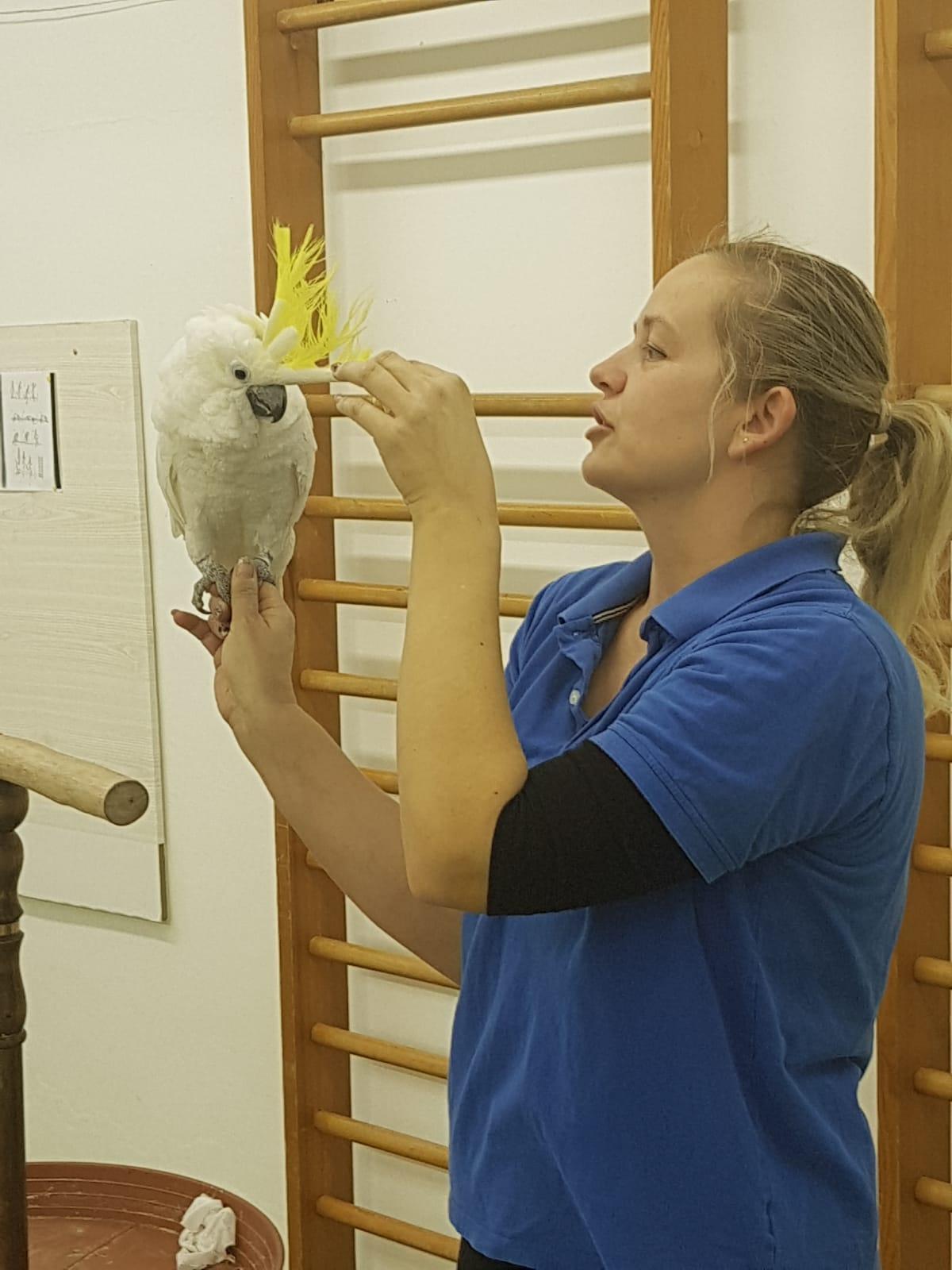 Papoušci v MŠ - 10