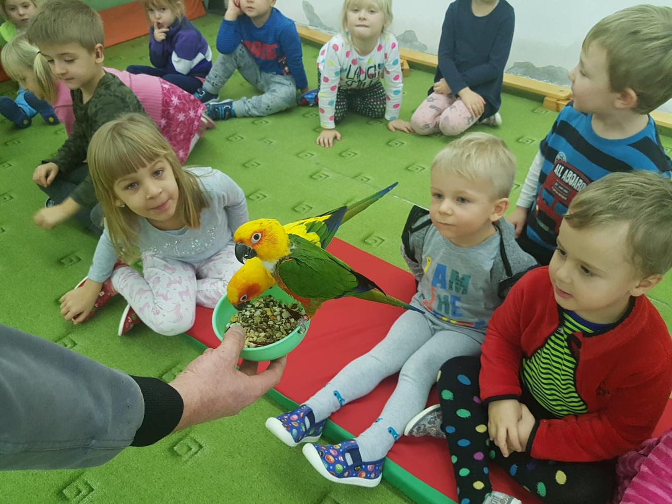 Papoušci v MŠ - 14