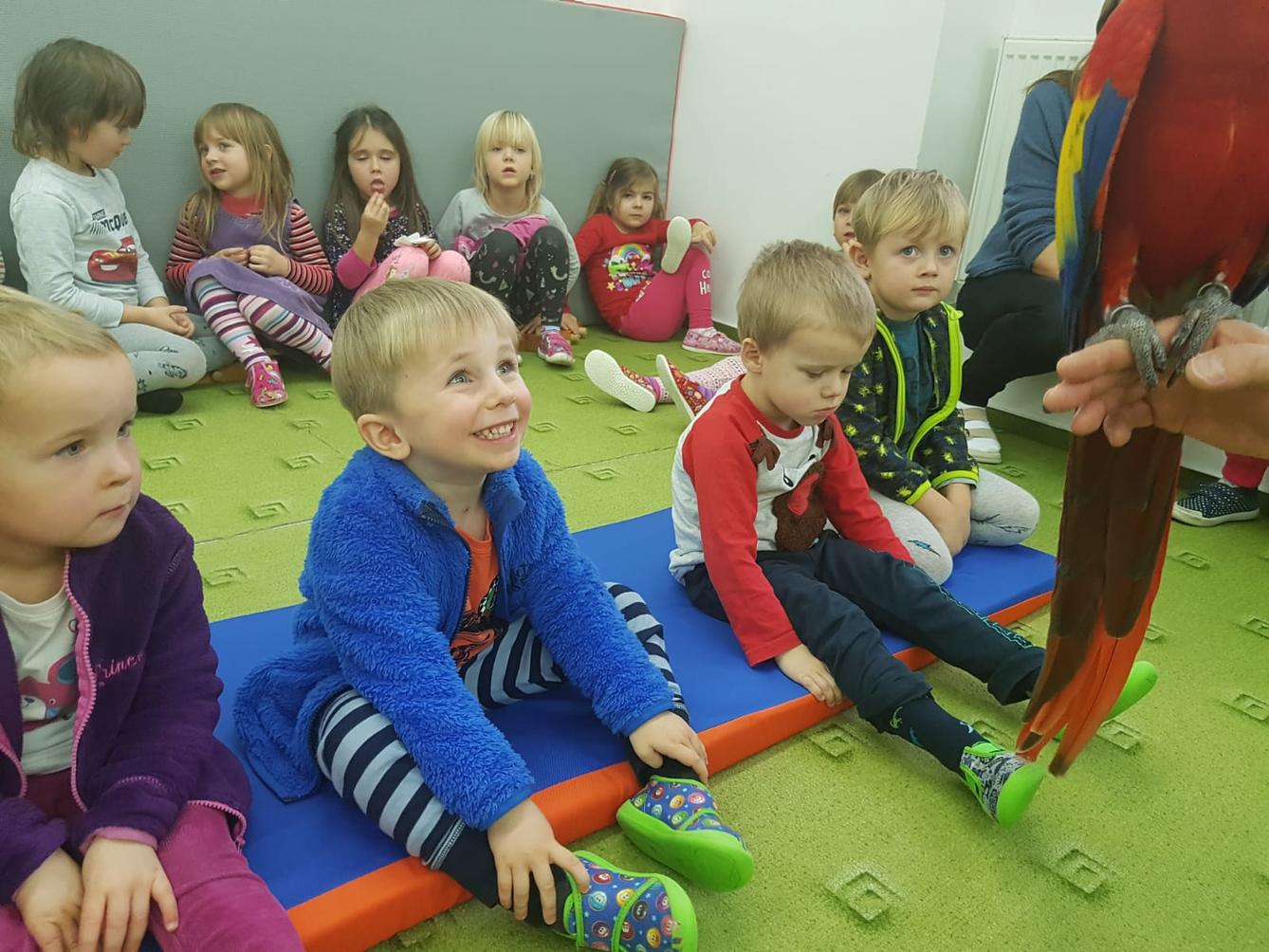 Papoušci v MŠ - 20