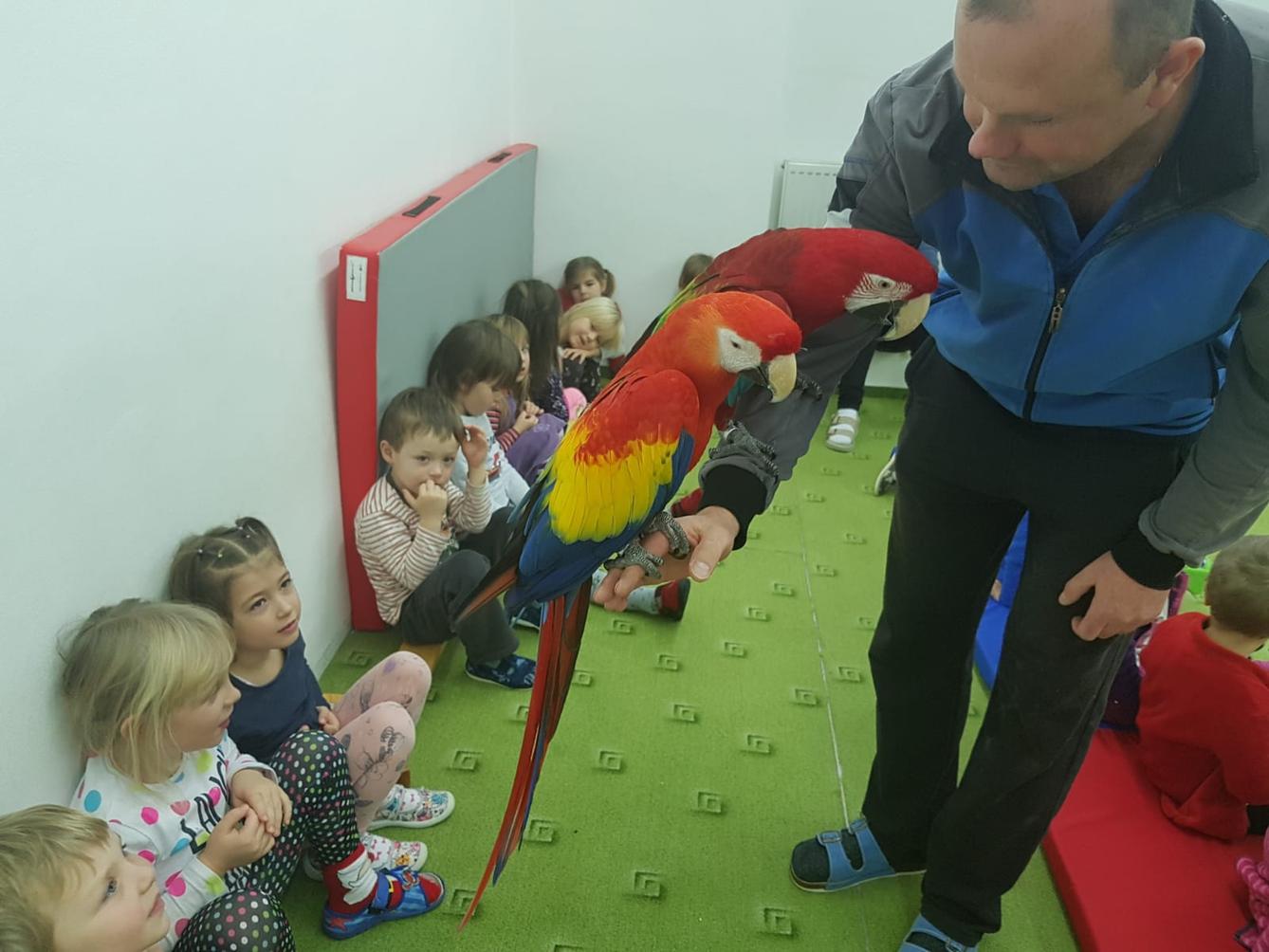 Papoušci v MŠ - 21