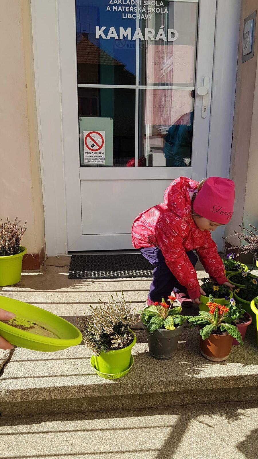 "Sázíme kytičky" :-) - 1