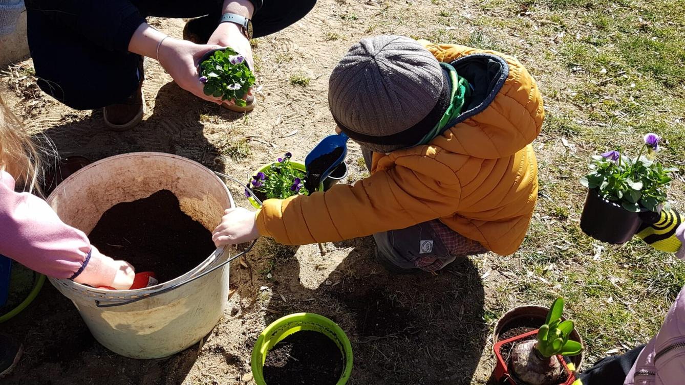 "Sázíme kytičky" :-) - 8