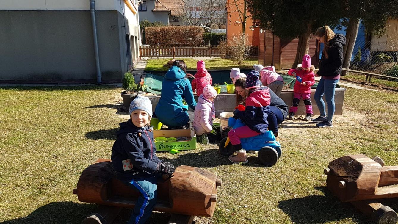 "Sázíme kytičky" :-) - 10