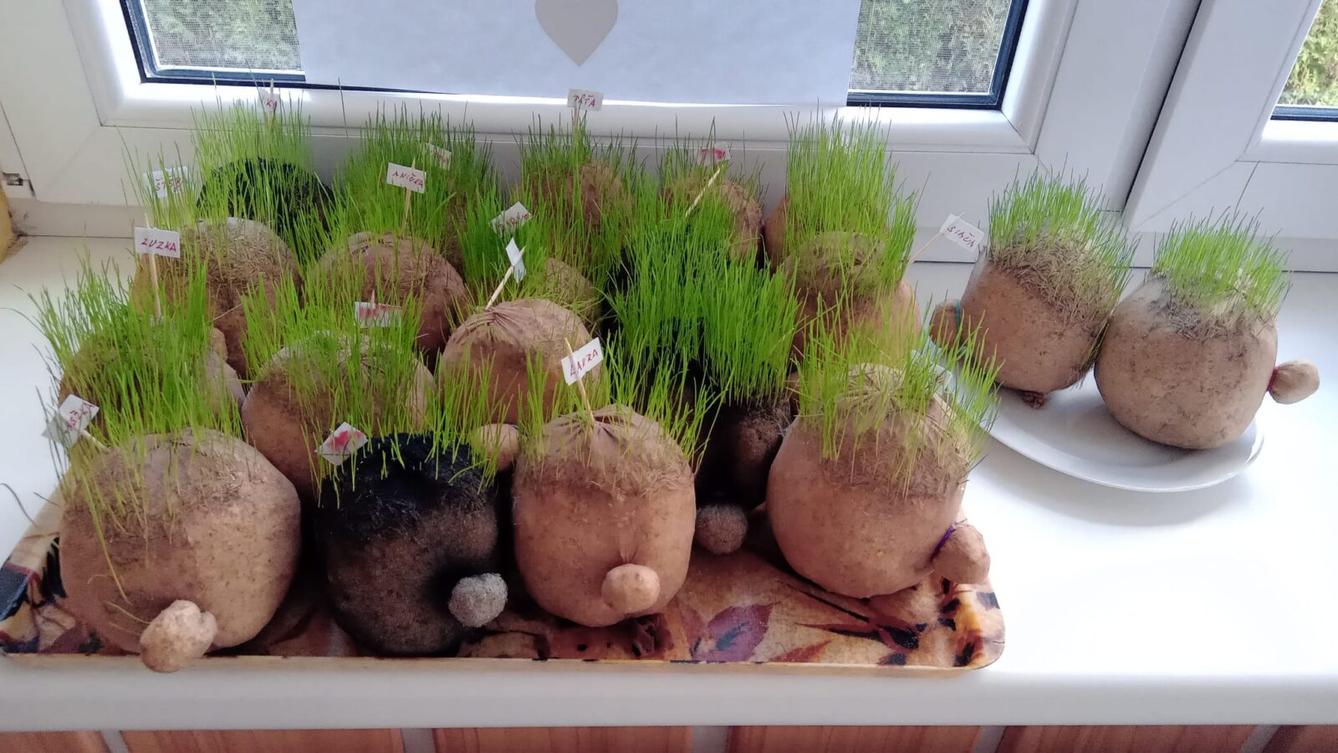 Kamínek mého domova aneb vítání jara - 128