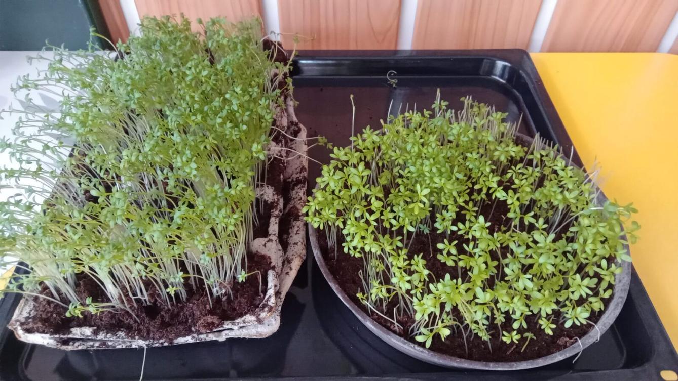 Kamínek mého domova aneb vítání jara - 129