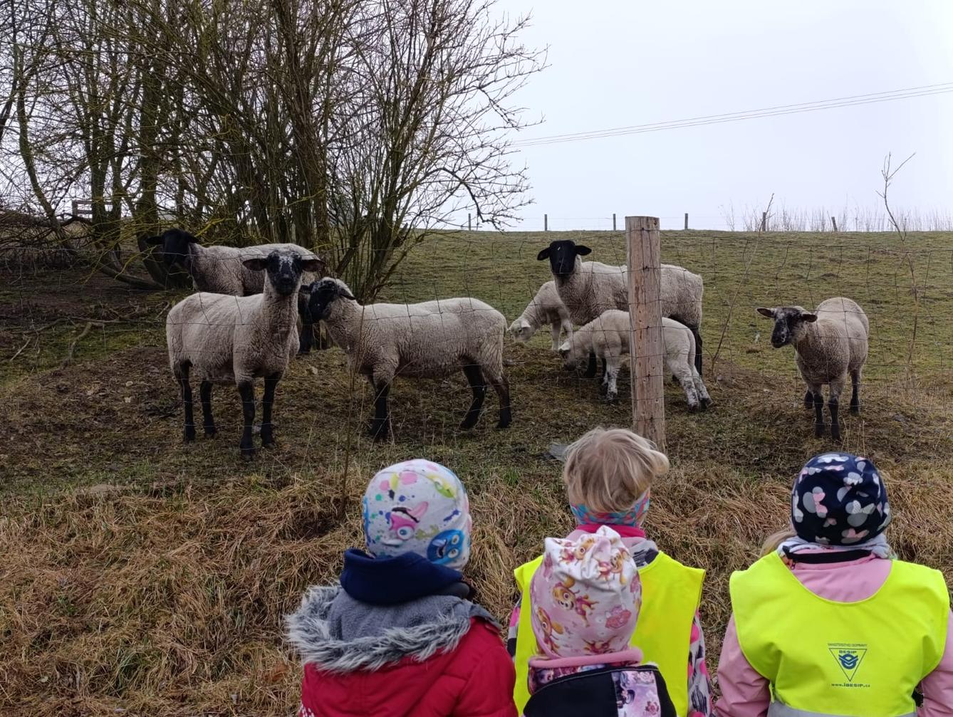 Broučci - Máme rádi zvířátka - 9