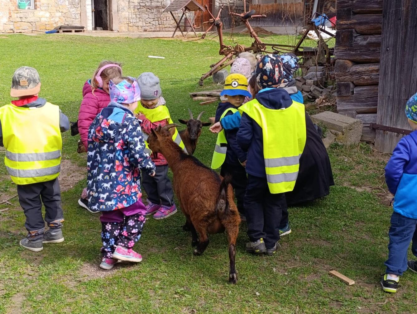 Broučci - Malované vajíčko - 1