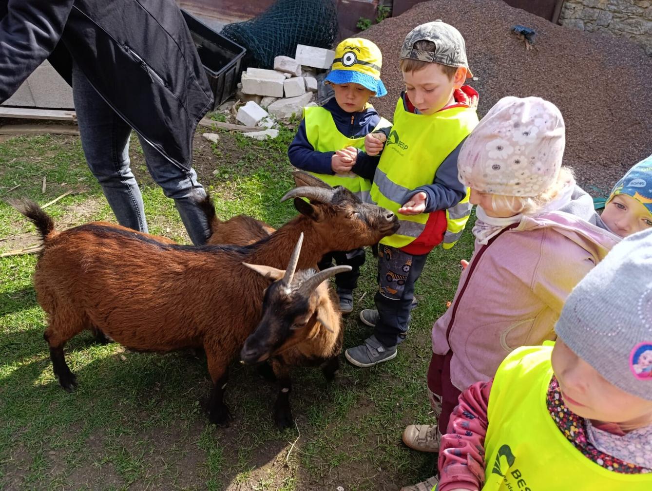 Broučci - Malované vajíčko - 4