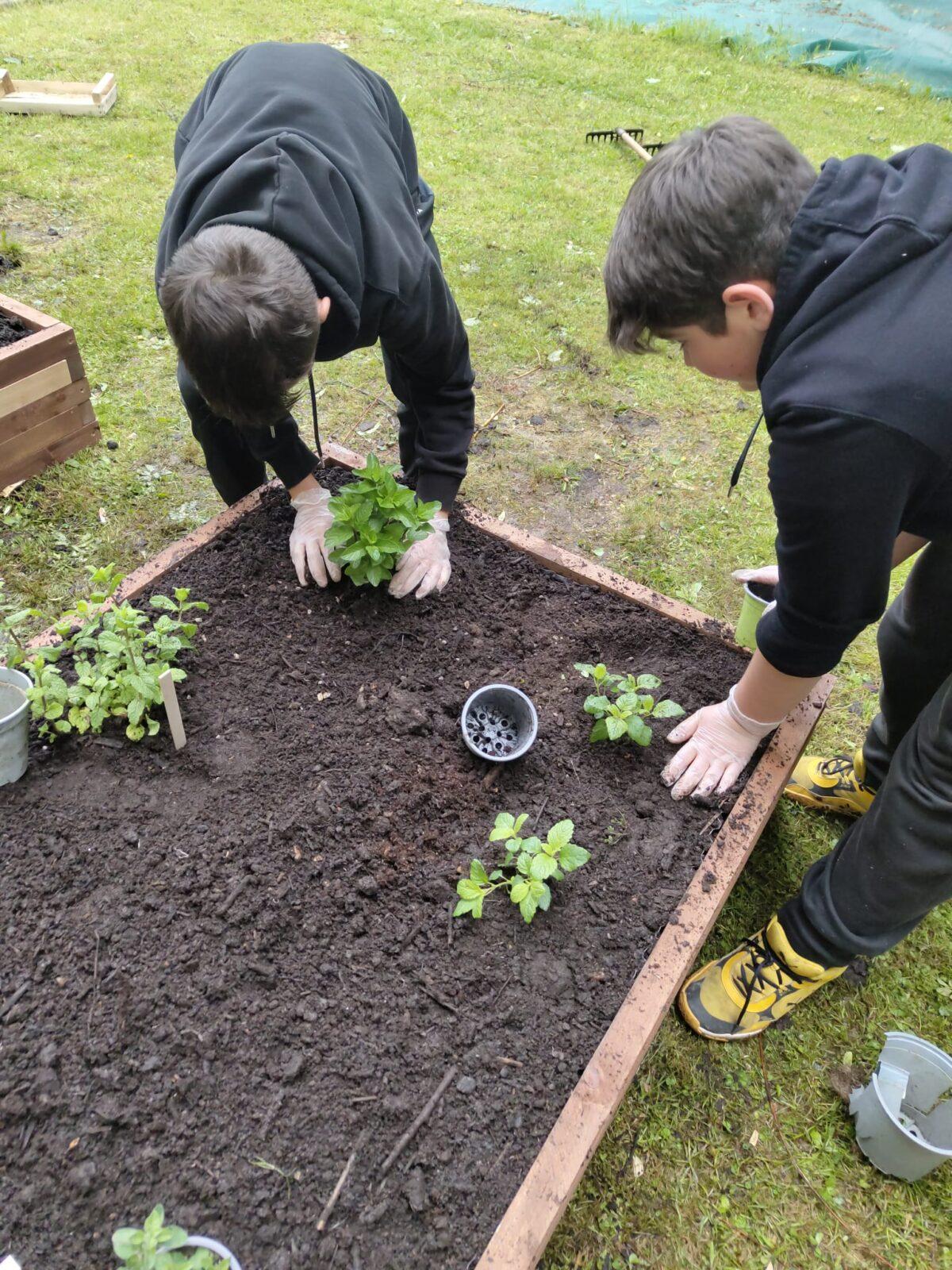 Tematická dílna - pěstování bylin a zeleniny - 4