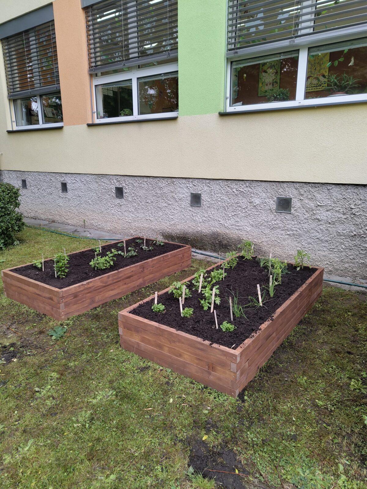 Tematická dílna - pěstování bylin a zeleniny - 5