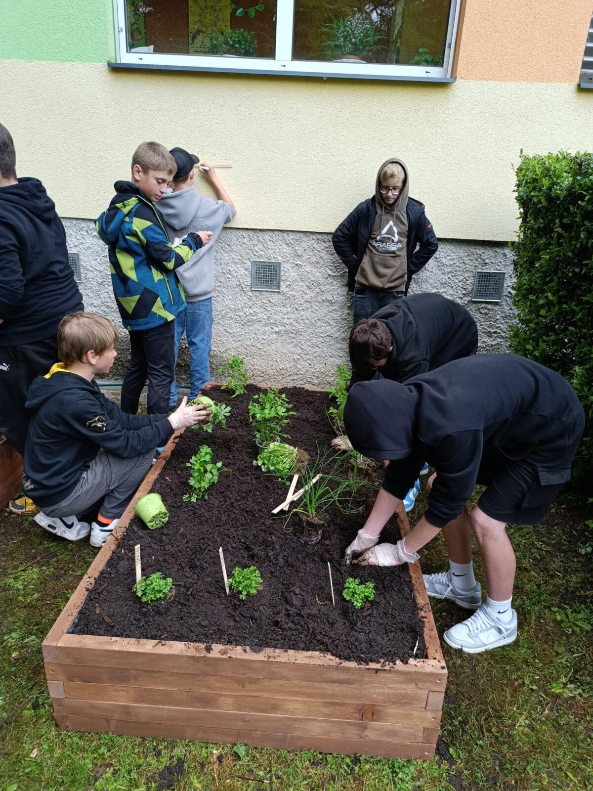 Tematická dílna - pěstování bylin a zeleniny - 6