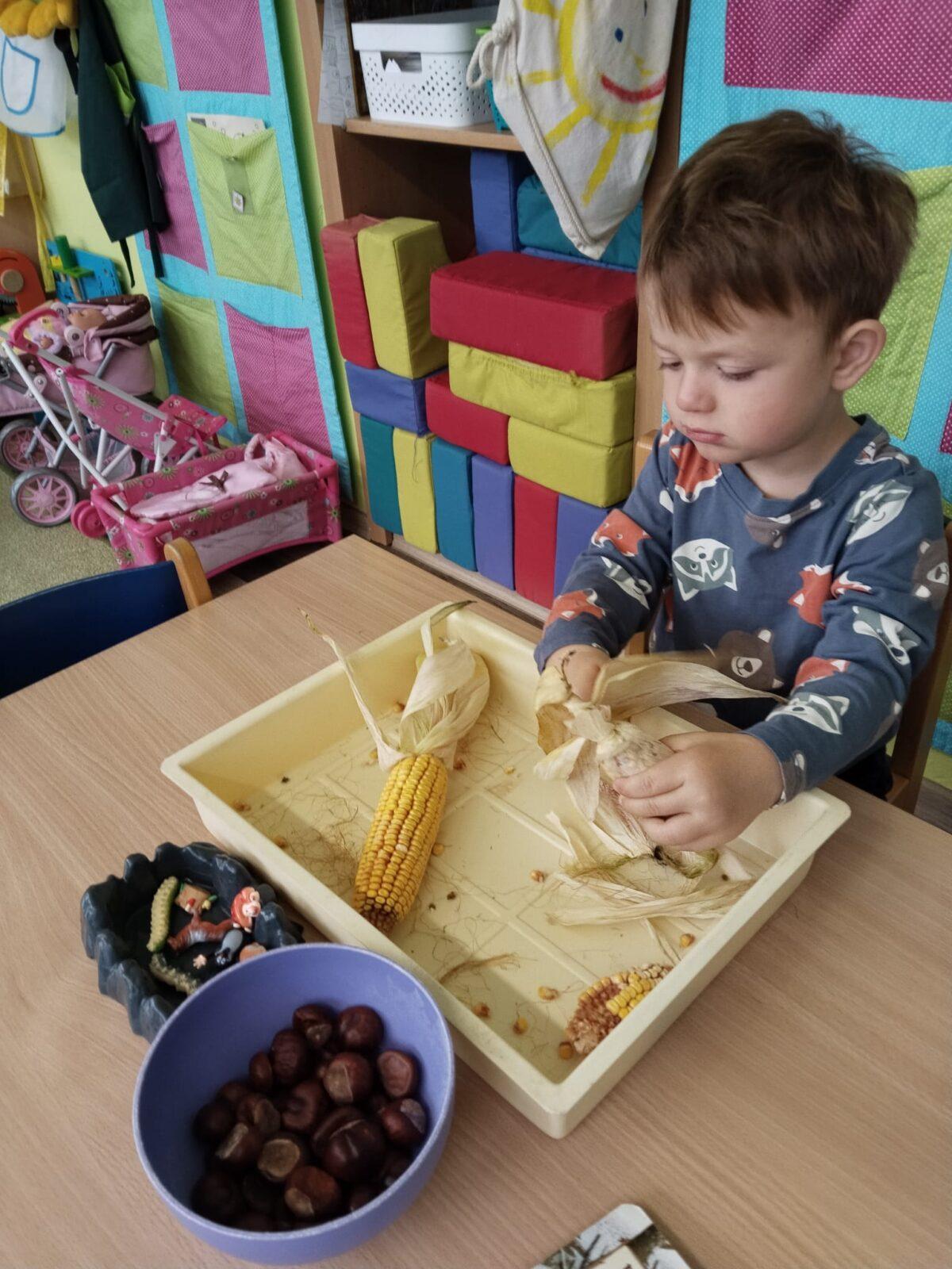 Broučci: poznáváme les - 11