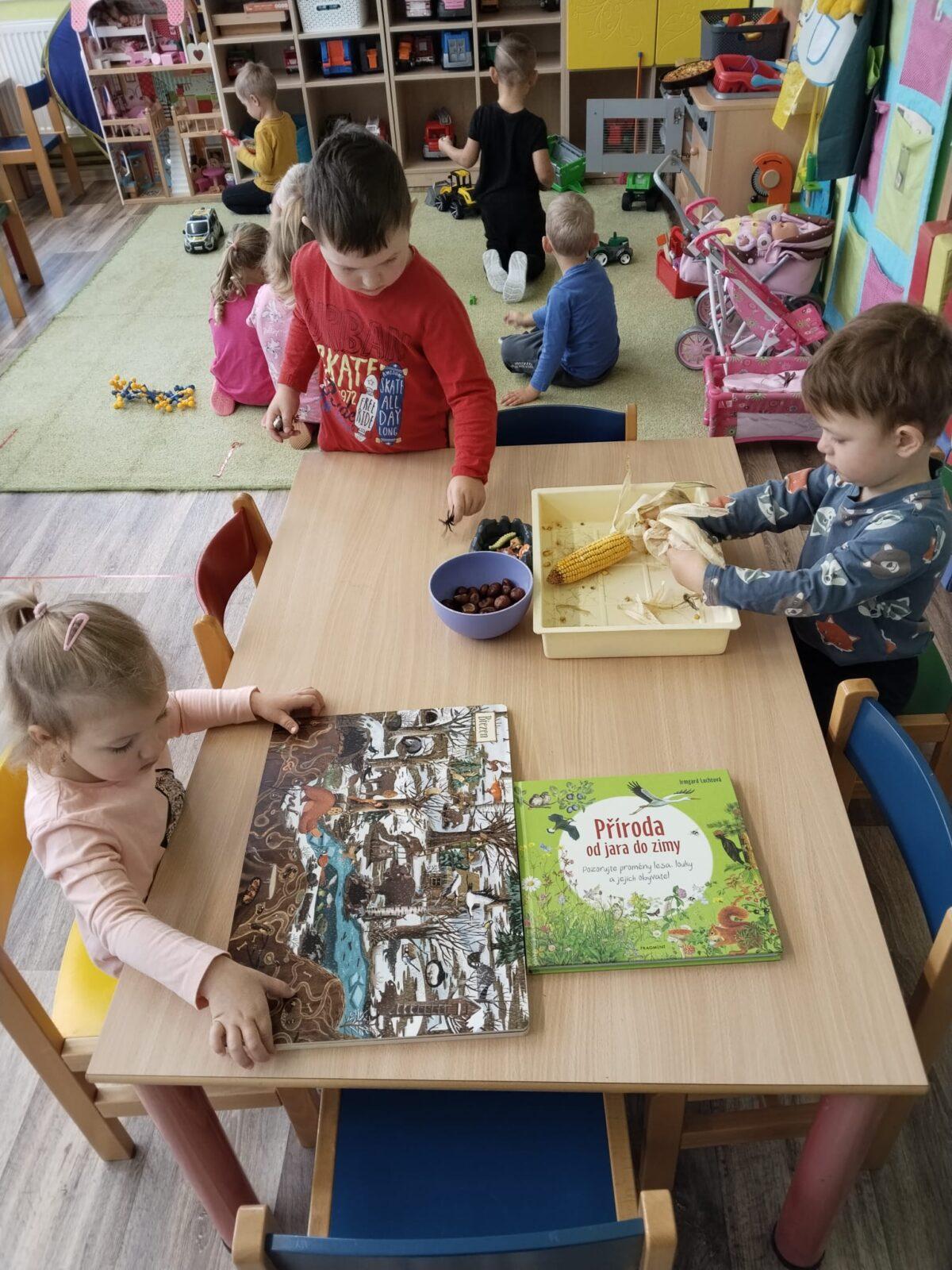 Broučci: poznáváme les - 12