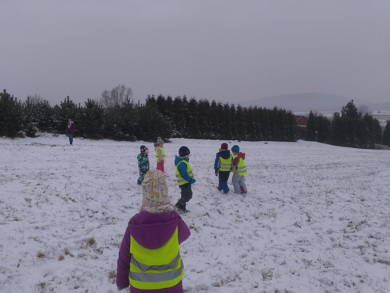 Vycházka k rybníčku - 2