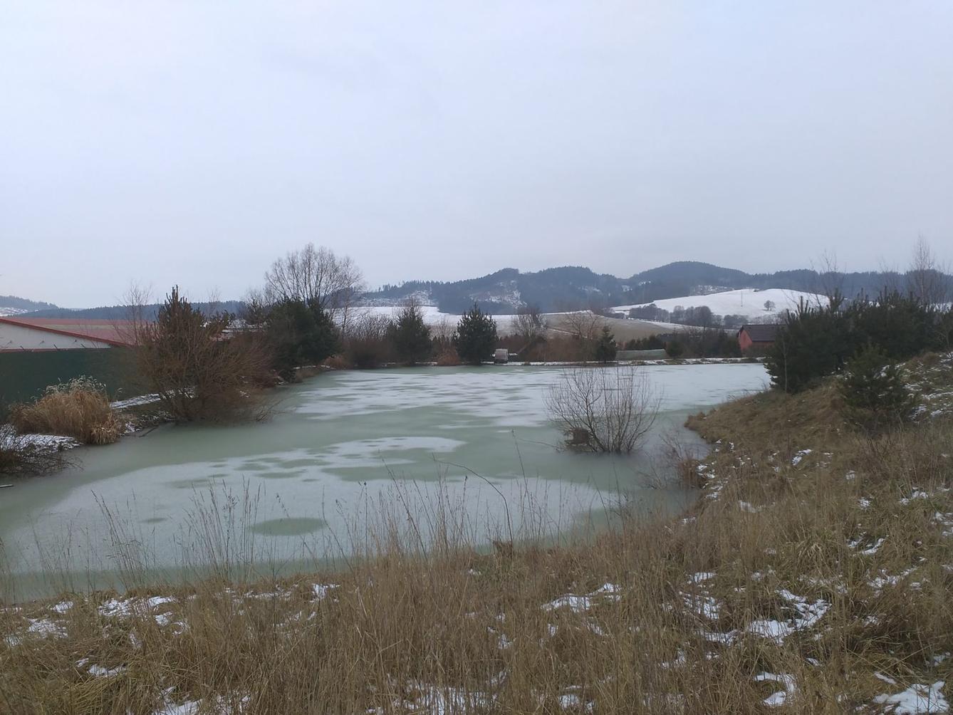 Vycházka k rybníčku - 6