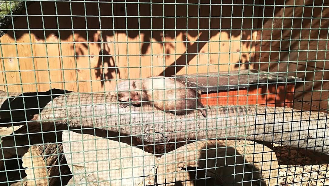 ŠKOLA V PŘÍRODĚ - DEN 2. - 1