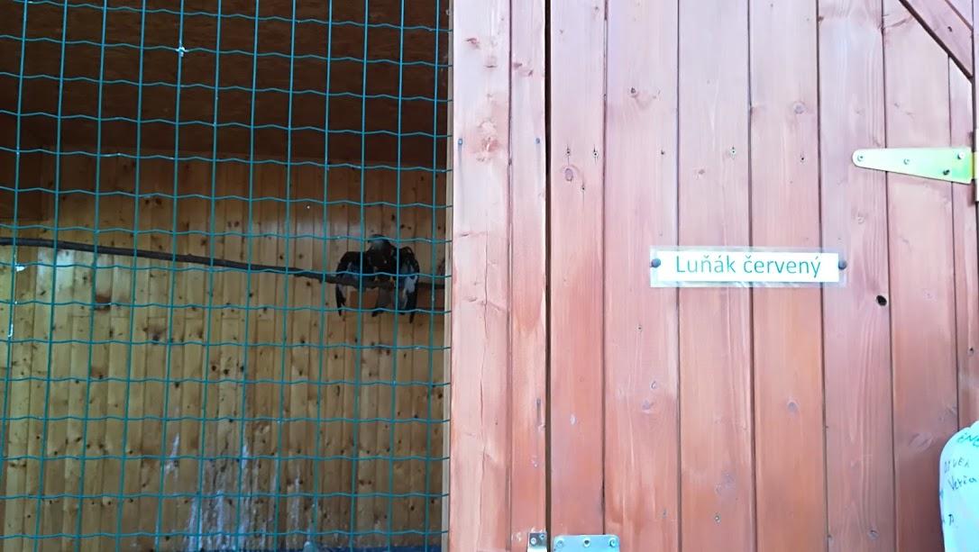 ŠKOLA V PŘÍRODĚ - DEN 2. - 2