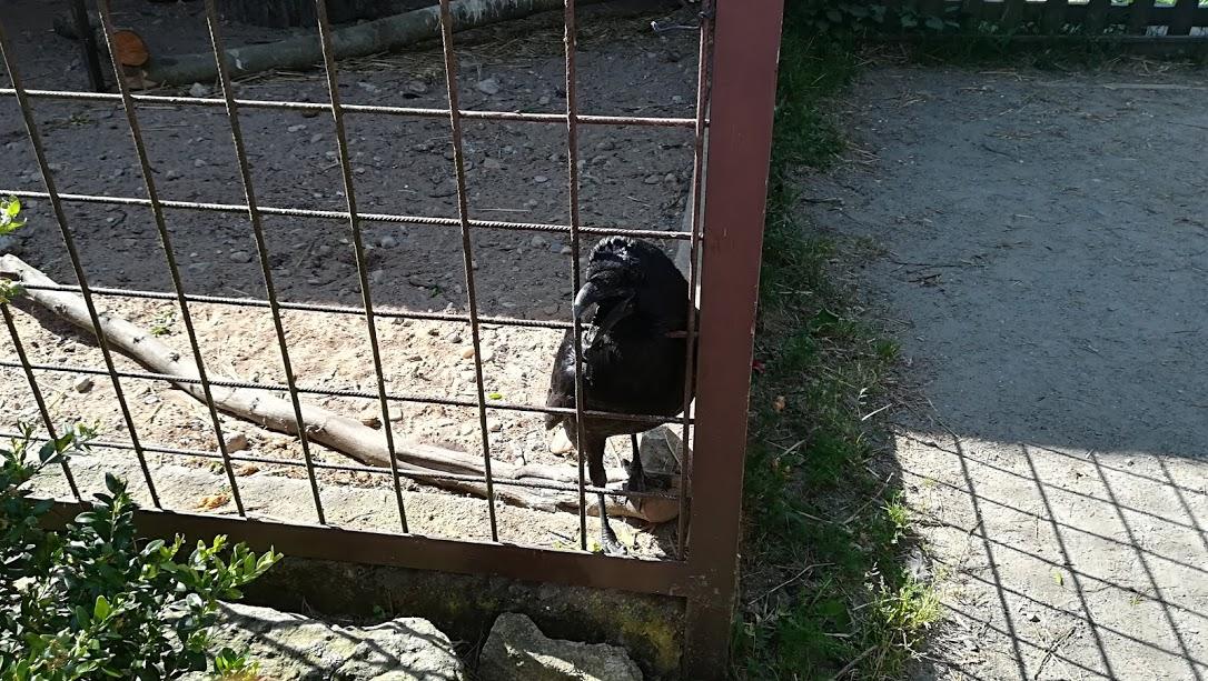 ŠKOLA V PŘÍRODĚ - DEN 2. - 5