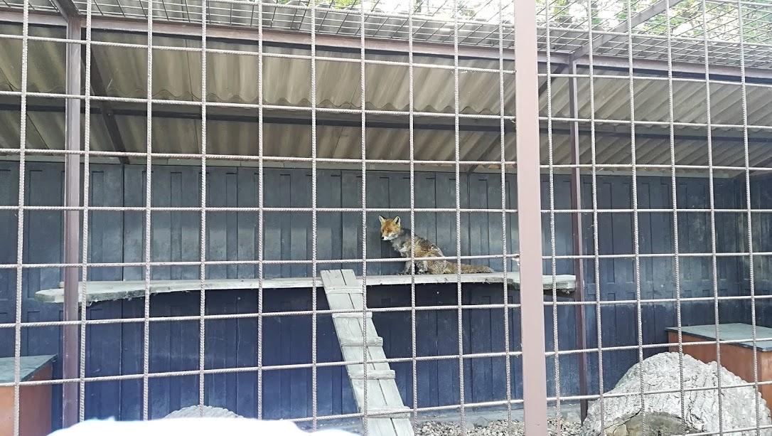 ŠKOLA V PŘÍRODĚ - DEN 2. - 7