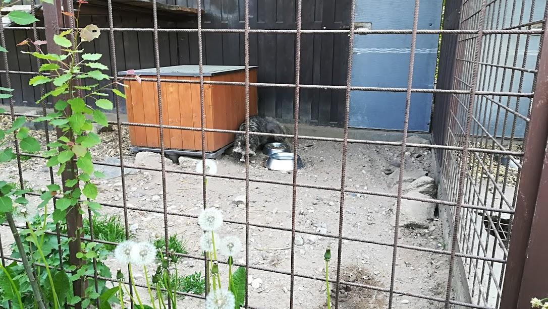 ŠKOLA V PŘÍRODĚ - DEN 2. - 8