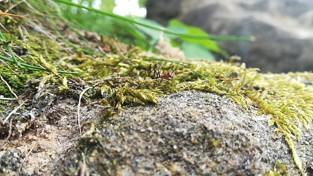 ŠKOLA V PŘÍRODĚ - DEN 2. - 26