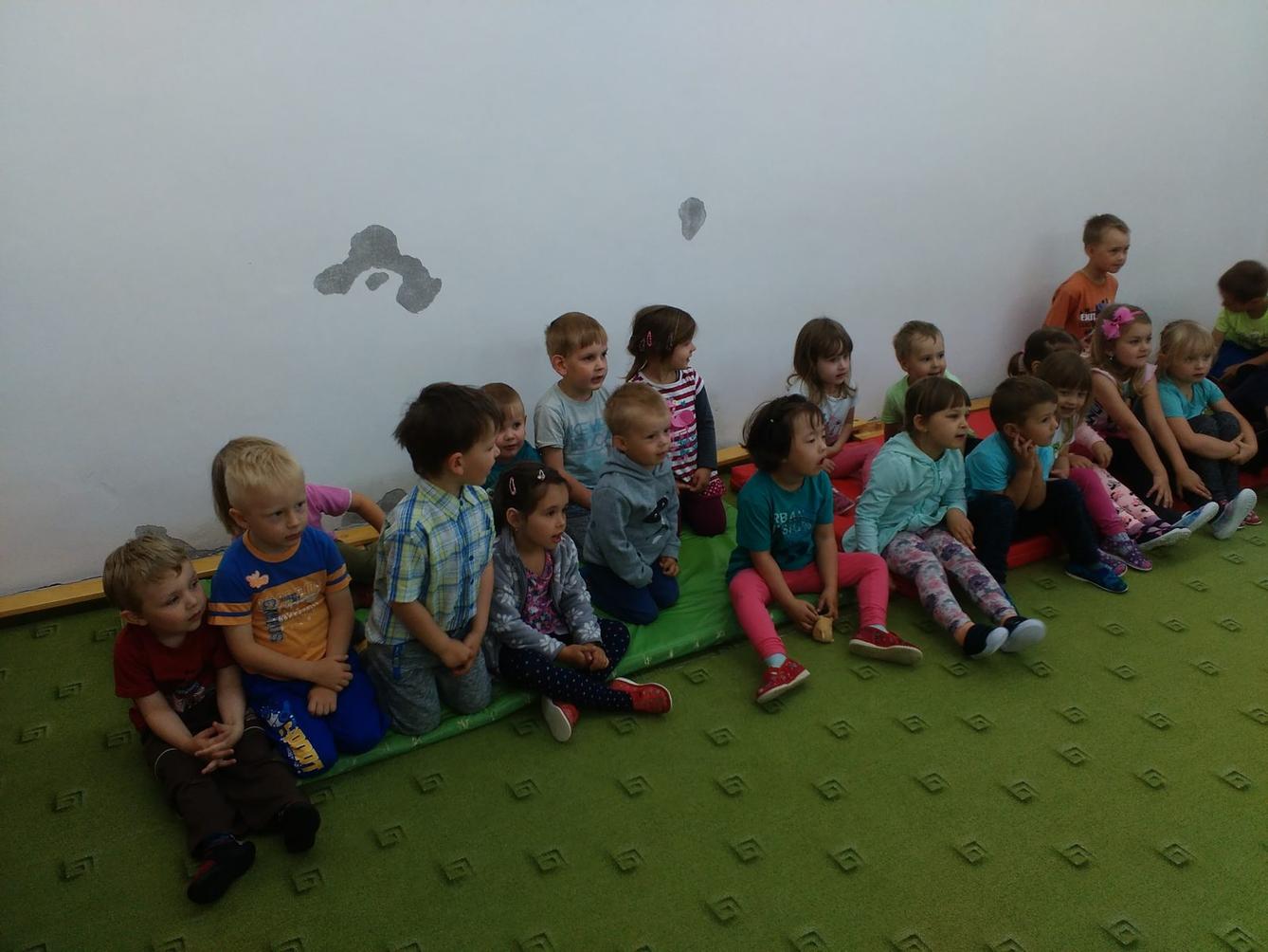 Papoušci ve školce - 1